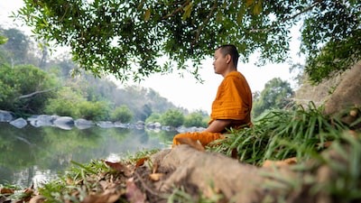 Embracing Change and Suffering