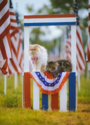 The Courage of Women